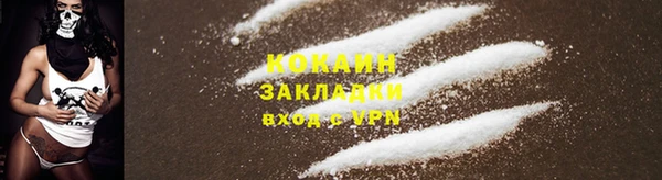 прущая мука Богородицк