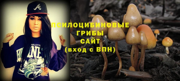 ALPHA-PVP Богданович