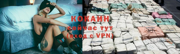 прущая мука Богородицк