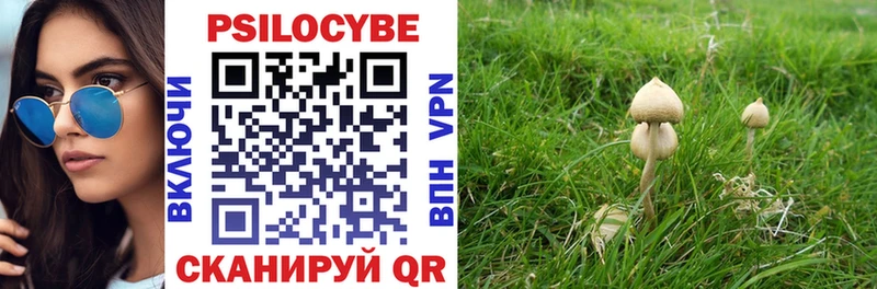 Псилоцибиновые грибы Psilocybe  Вуктыл 